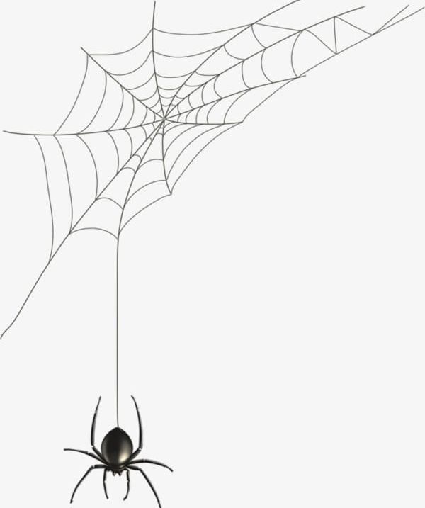 Hand-painted Spider Web PNG, Clipart, Animal, Black, Black Spider, Grid, Hand Painted Clipart Free PNG Download