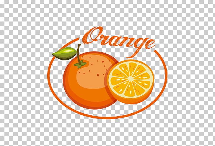 Orange Fruit Auglis PNG, Clipart, Auglis, Citrus, Encapsulated Postscript, Euclidean Vector, Food Free PNG Download
