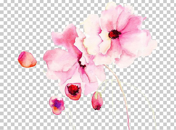 Watercolour Flowers Watercolor Painting Stock Photography PNG, Clipart, Computer Wallpaper, Flower, Flower Arranging, Magenta, Painting Free PNG Download