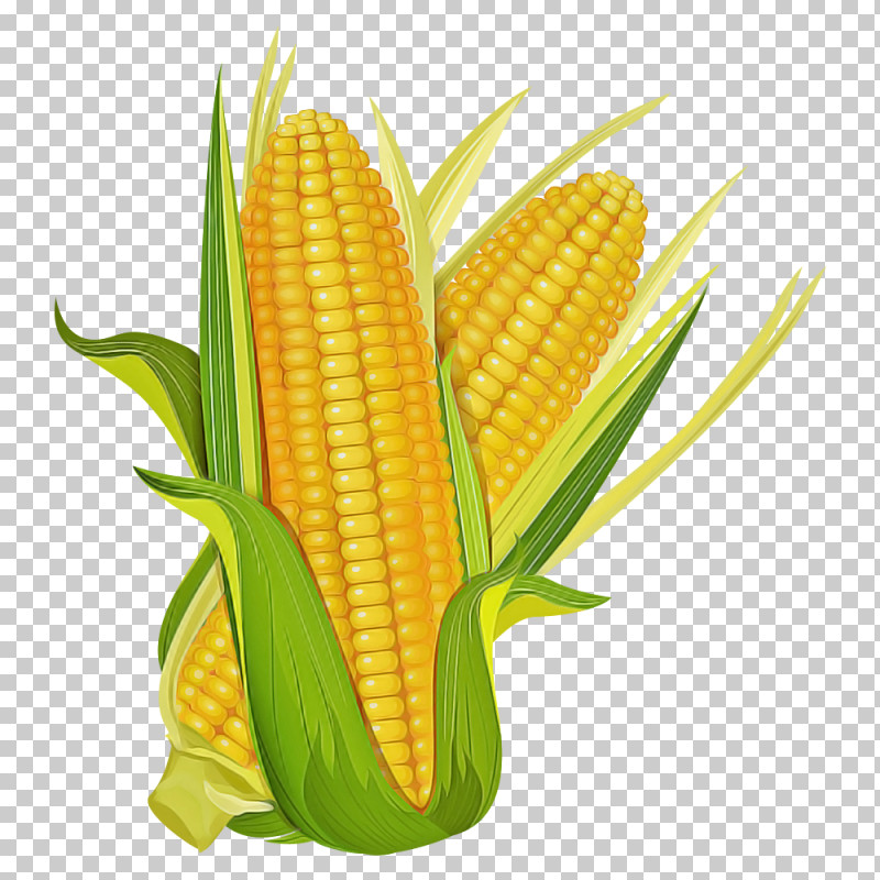 Corn Kernels Corn Corn On The Cob Sweet Corn Corn On The Cob PNG, Clipart, Corn, Corn Kernels, Corn On The Cob, Cuisine, Food Free PNG Download