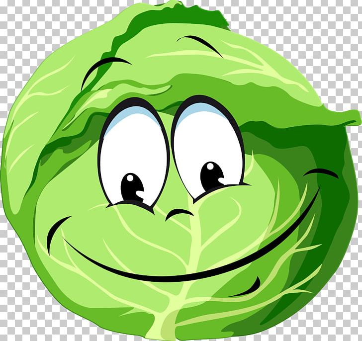 Cabbage Vegetable User Profile PNG, Clipart, Amphibian, Ball, Blog, Brassica, Brassica Oleracea Free PNG Download