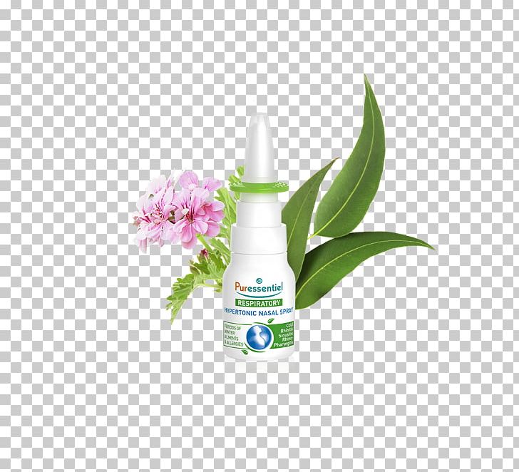 Nasal Spray Nose Common Cold Respiratory Disease Respiratory System PNG, Clipart, Aerosol Spray, Allergy, Common Cold, Decongestant, Hay Fever Free PNG Download