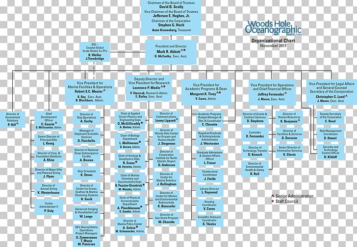 Organizational Chart Organizational Structure Business PNG, Clipart, Board Of Directors, Brand, Business, Chart, Company Free PNG Download
