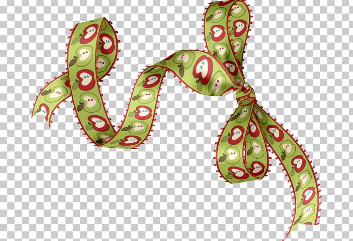 Visual Arts Organism Pattern PNG, Clipart, Art, Miscellaneous, Organism, Others, Ribbon Free PNG Download