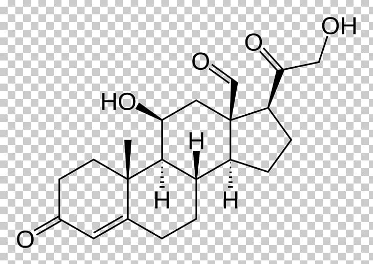 Aldosterone Mineralocorticoid Renin–angiotensin System Adrenal Cortex Structure PNG, Clipart, Adrenal Gland, Aldosterone, Angiotensin, Angle, Area Free PNG Download