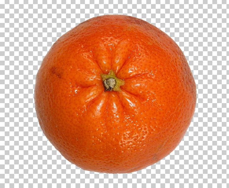 Clementine Mandarin Orange Tangerine Tangelo Rangpur PNG, Clipart, Bitter Orange, Blood Orange, Citric Acid, Citrus, Clementine Free PNG Download