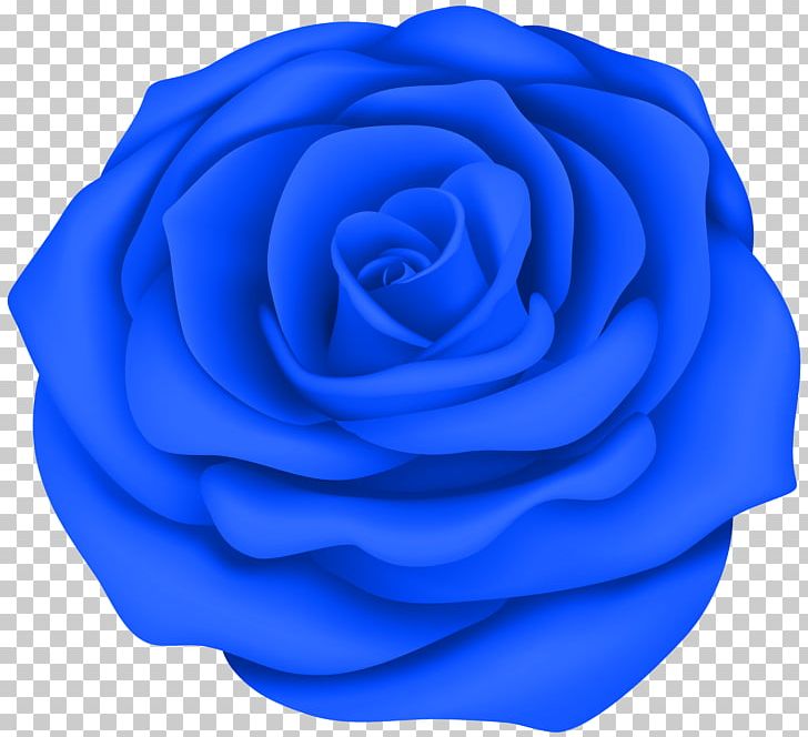 Rose Desktop Drawing PNG, Clipart, Art, Art Museum, Blue, Blue Rose, Cobalt Blue Free PNG Download