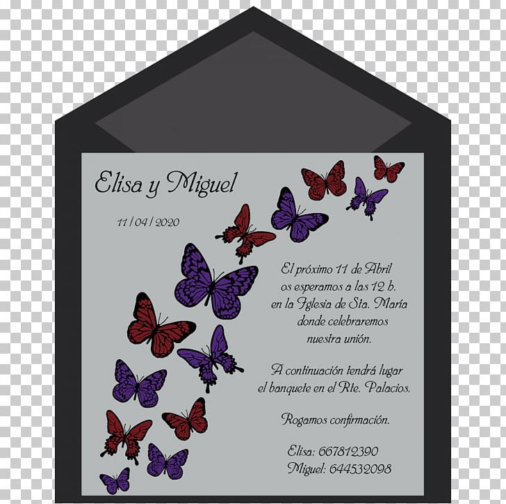 Wedding Invitation Convite Butterflies And Moths Color PNG, Clipart, Butterflies And Moths, Color, Convite, Flight, Holidays Free PNG Download