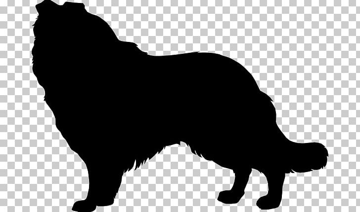 Whiskers Rough Collie Border Collie Dog Breed PNG, Clipart, Black, Border Collie, Breed Group Dog, Carnivoran, Cat Like Mammal Free PNG Download