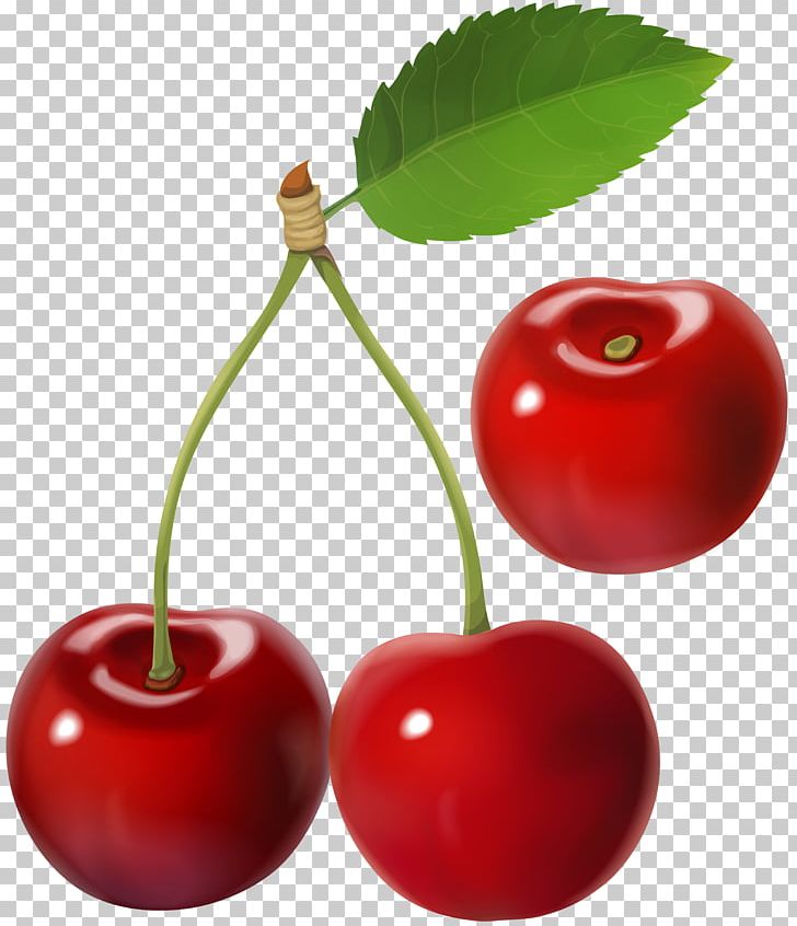 Barbados Cherry PNG, Clipart, Accessory Fruit, Acerola, Acerola Family, Apple, Auglis Free PNG Download