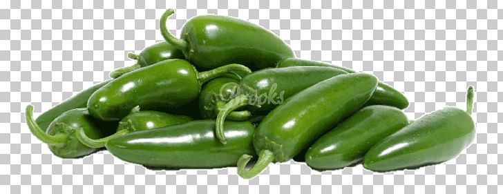 Jalapeño Popper Chili Pepper Salsa Vegetable PNG, Clipart, Bell Pepper, Bell Peppers And Chili Peppers, Birds Eye Chili, Chili Pepper, Food Free PNG Download