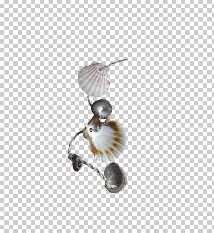 Seashell PNG, Clipart, Beautiful, Beautiful Scallops, Bijou, Body Jewelry, Creative Jewelry Free PNG Download