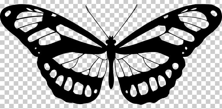 Butterfly Printmaking Art Wall Decal Painting PNG, Clipart, Art, Brush Footed Butterfly, Butterfly Clipart, Insects, Monochrome Free PNG Download