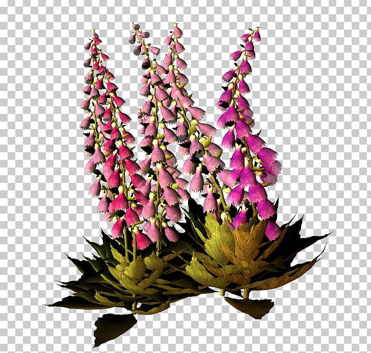 Floral Design Cut Flowers PNG, Clipart, Cut Flowers, Digitalis, Floral Design, Floristry, Flower Free PNG Download