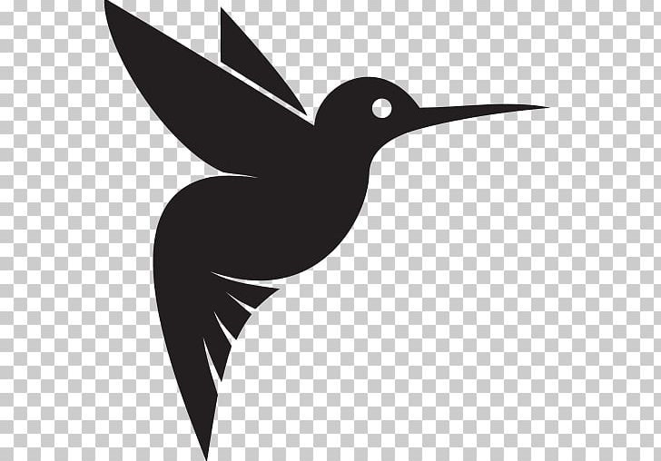 Google Hummingbird PNG, Clipart, Animals, Beak, Bird, Black And White, Computer Icons Free PNG Download