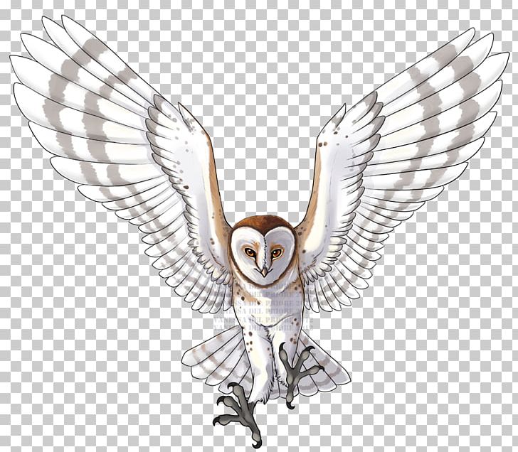 Owl Line Art Beak Feather PNG, Clipart, Animals, Beak, Bird, Bird Of Prey, Character Free PNG Download