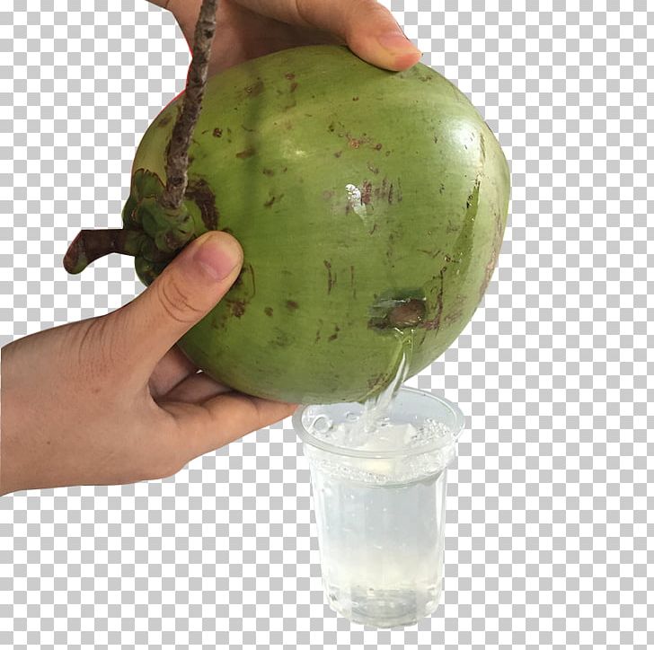Coconut Milk Coconut Water PNG, Clipart, Adobe Illustrator, Download, Encapsulated Postscript, Food, Fruit Free PNG Download