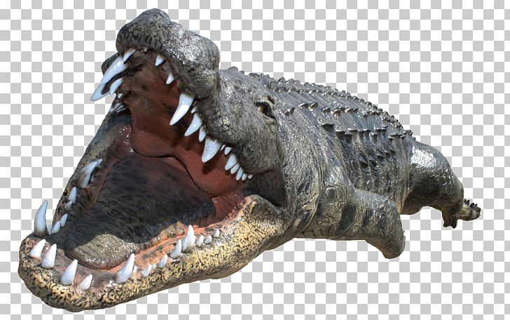 Crocodile Desktop PNG, Clipart, Alligator, American Alligator, Computer Icons, Crocodile, Crocodiles Free PNG Download
