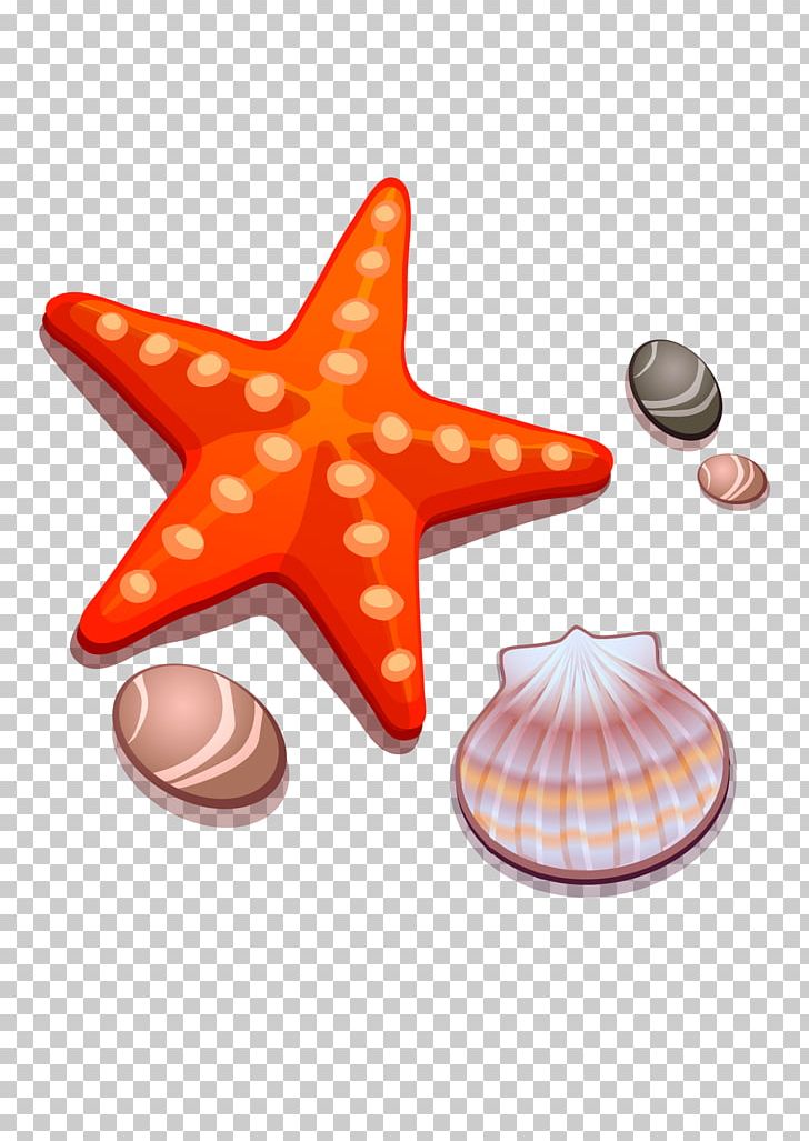 Drawing Cartoon Starfish Seashell PNG, Clipart, Animals, Animation, Beach, Cartoon, Cartoon Starfish Free PNG Download