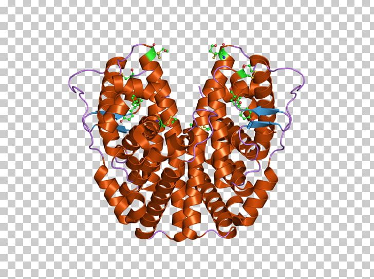 Estrogen Receptor Alpha Nuclear Receptor PNG, Clipart, 1 M, B 1, Bead, Body Jewelry, Dnabinding Domain Free PNG Download