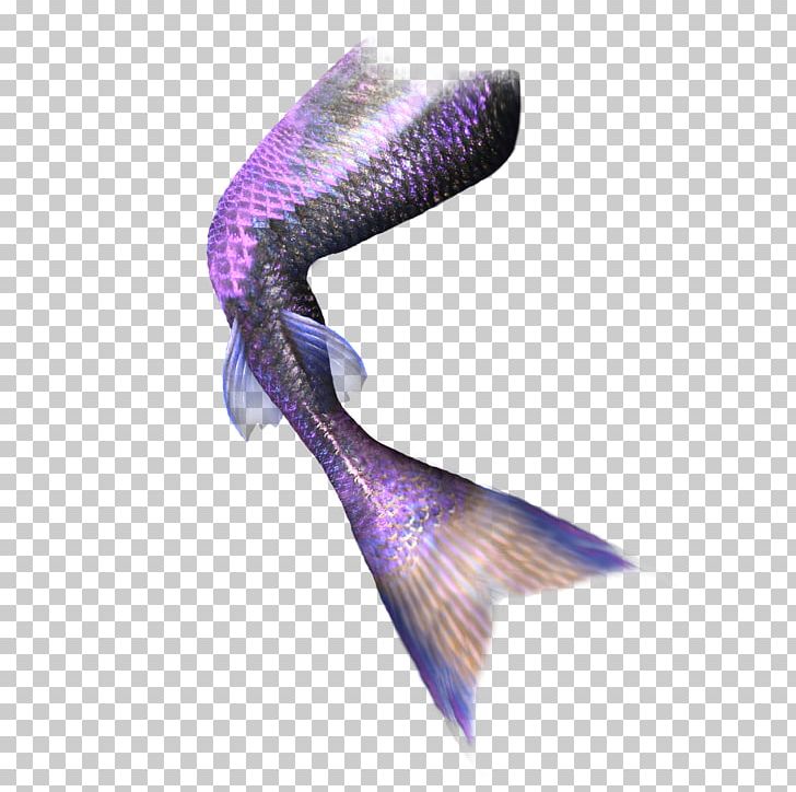 Mermaid Tail Computer File PNG, Clipart, Beautiful, Beautiful Mermaid Tail, Computer Software, Coreldraw, Download Free PNG Download
