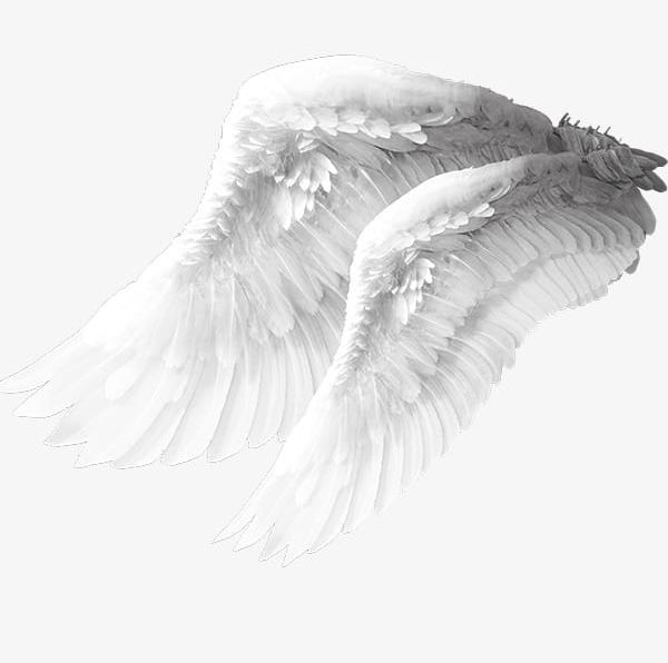 Angel Wings Material PNG, Clipart, Angel, Angel Clipart, Angel Wings, Feather, Material Free PNG Download