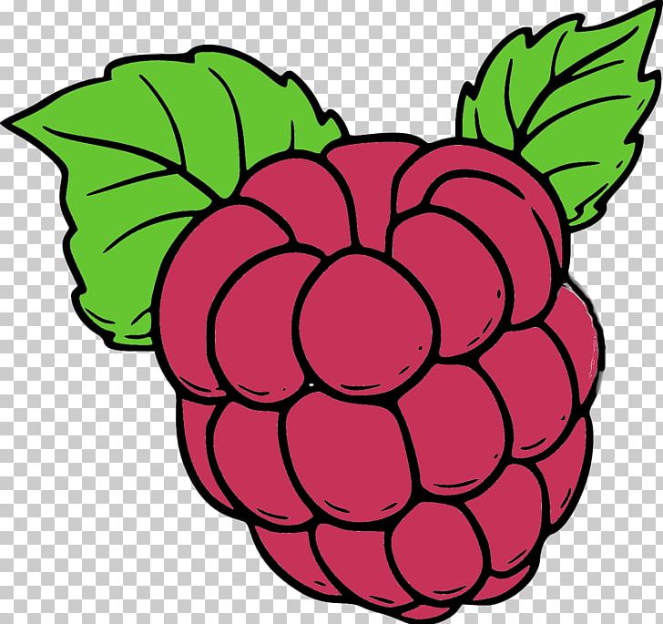 Coloring Book Drawing Red Raspberry Fruit PNG, Clipart, Artwork, Book, Circle, Coloring Book, Download Free PNG Download