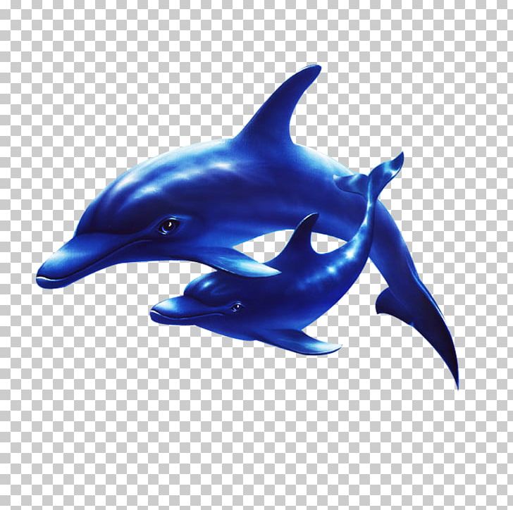 Dolphin Sea PNG, Clipart, Animals, Cute Dolphin, Dolphine, Dolphins, Electric Blue Free PNG Download