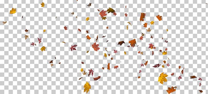 Leaf Autumn PNG, Clipart, Autumn, Autumn Leaf Color, Autumn Leaves, Branch, Download Free PNG Download