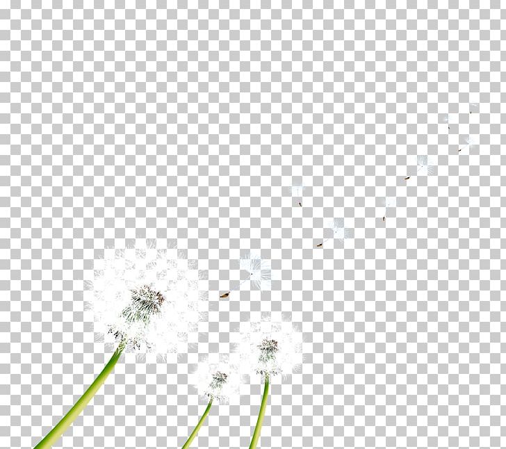 Advertising LINE Notebook Pattern PNG, Clipart, Advertising, Dandelion, Dandelions, Ding, Ding Mother Free PNG Download
