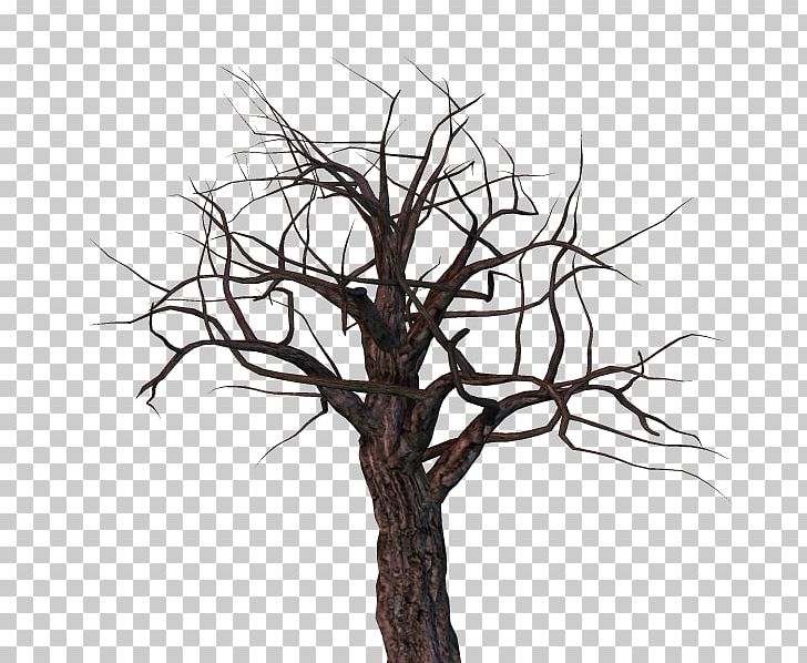 Twig Tree Snag Branch PNG, Clipart, Black And White, Branch, Brush, Coloriage, Halloween Free PNG Download