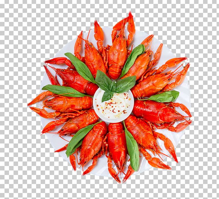 Crayfish As Food Lobster Palinurus PNG, Clipart, Animals, Chili Pepper, Clips, Cooking, Decorative Free PNG Download