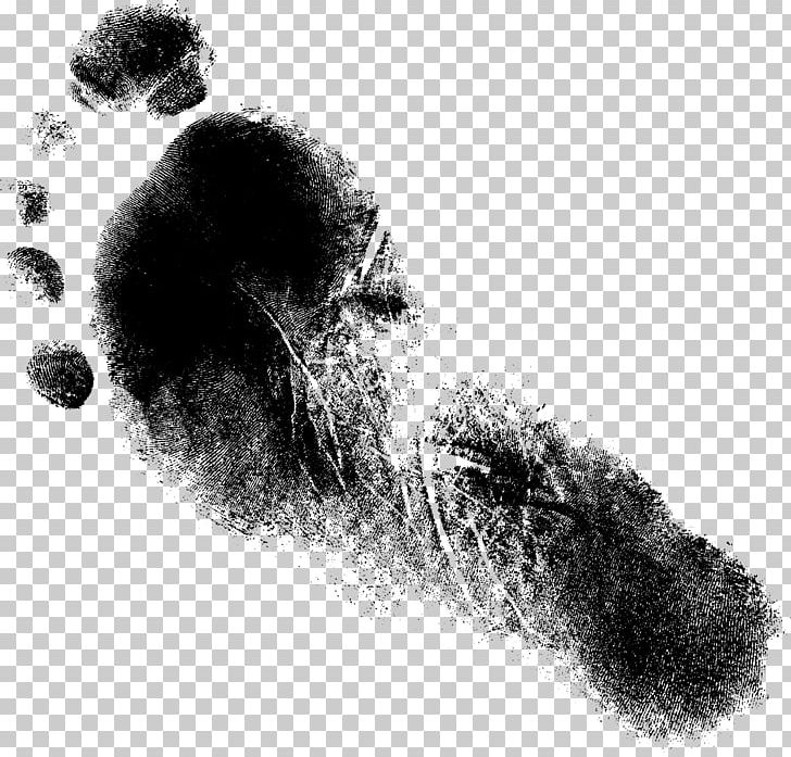 Drawing Monochrome Photography Paper PNG, Clipart, Black And White, Brush, Crayon, Drawing, Footprint Free PNG Download