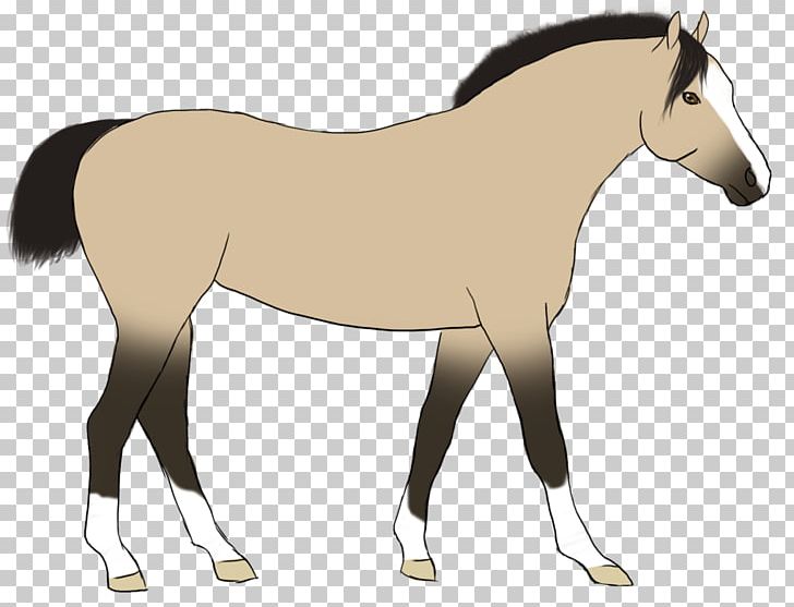Foal Stallion Mare Colt Mustang PNG, Clipart, Brid, Cartoon, Character, Colt, Fictional Character Free PNG Download