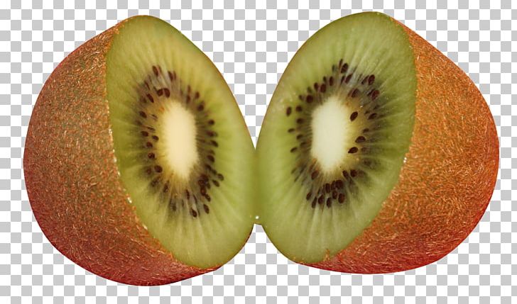 Kiwifruit PNG, Clipart, Apple, Chinese Gooseberry, Copyright, Download, Enduser License Agreement Free PNG Download