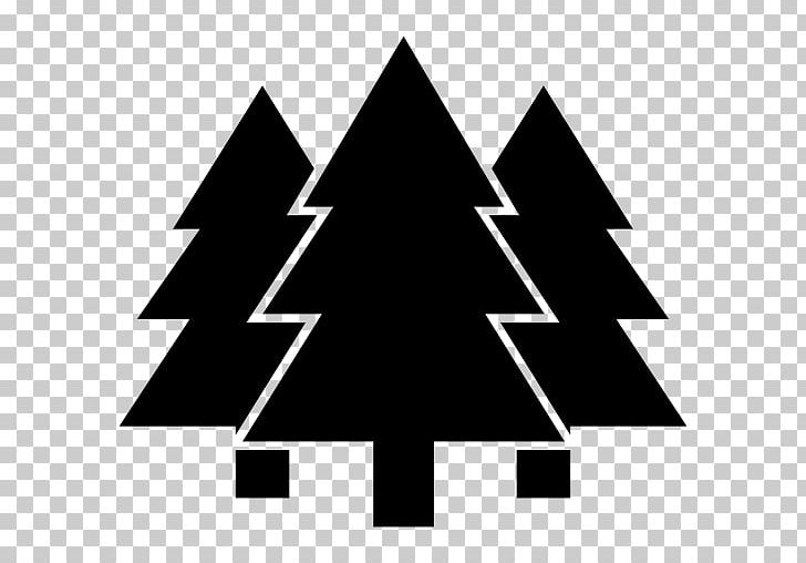 Computer Icons Temperate Coniferous Forest PNG, Clipart, Angle, Bany De Bosc, Black, Black And White, Brand Free PNG Download