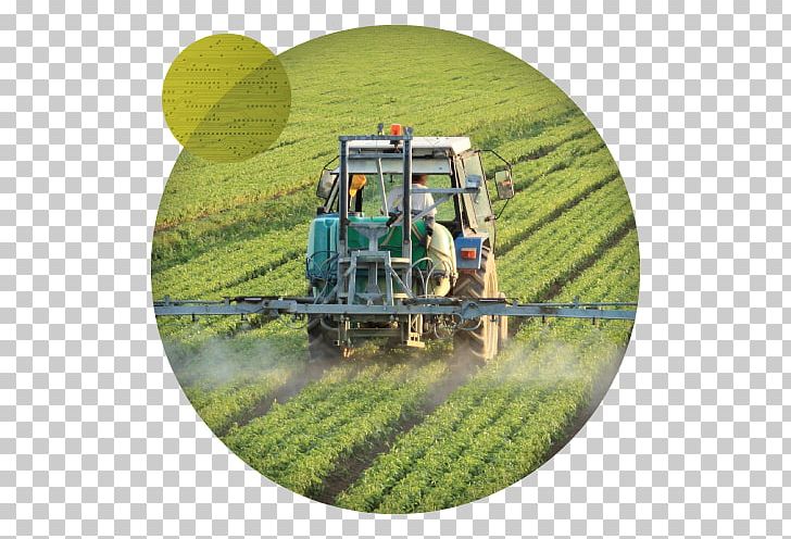 Herbicide Agriculture Pesticide Crop Industry PNG, Clipart, Agriculture, Business, Crop, Crop Protection, Farm Free PNG Download