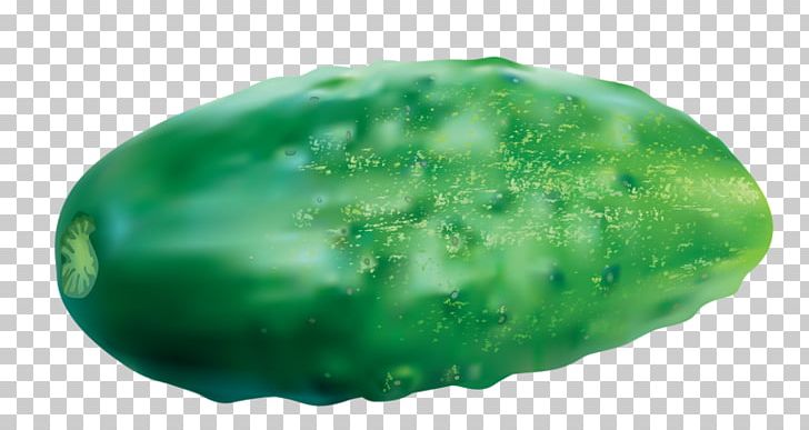 Pickled Cucumber Melon PNG, Clipart, Background Green, Carrot, Cucumber, Cucumber Gourd And Melon Family, Cucumis Free PNG Download