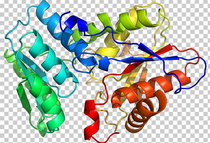 Tryptophan Synthase Enzyme Pyridoxal Phosphate PNG, Clipart, Area, Artwork, Bhs, C 2, D 2 Free PNG Download