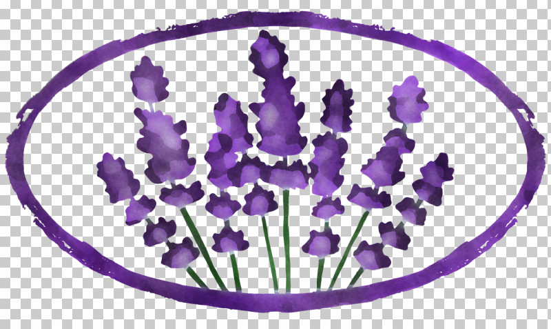 Lavender PNG, Clipart, Color, Homeopathy, Lavender, Medicine, Naturopathy Free PNG Download