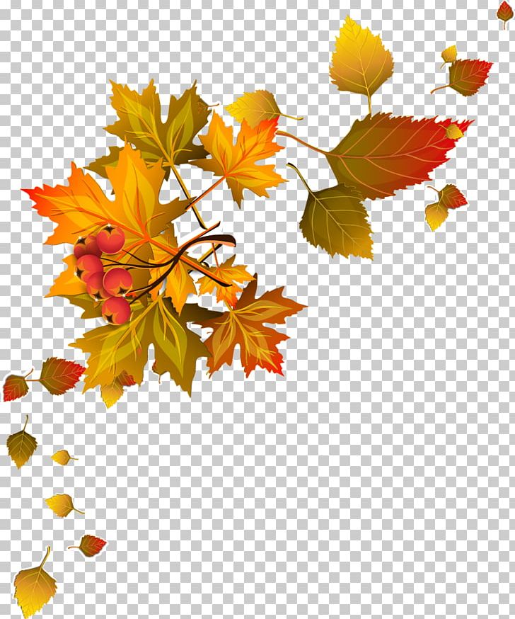 Autumn Leaf Color Autumn Leaf Color PNG, Clipart, Autumn, Autumn Leaf Color, Branch, Clip Art, Coin Free PNG Download