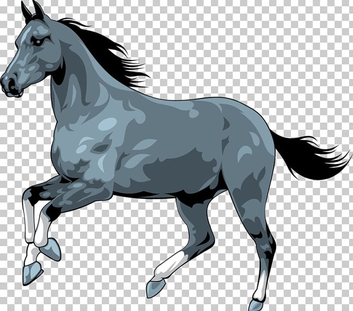 Horse PNG, Clipart, Animal, Animals, Athlete Running, Athletics Running, Bole Free PNG Download