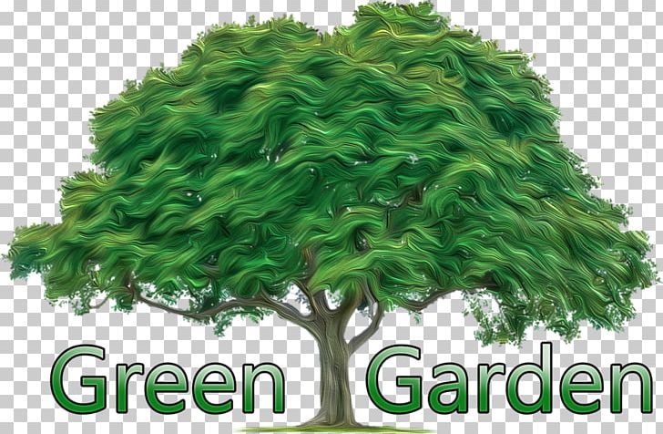 Business Tree Montreal Arborist Wood PNG, Clipart, Arborist, Business, Consultant, Evergreen, Grass Free PNG Download