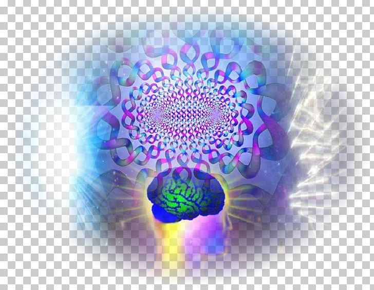 Consciousness Chokhmah Tree Of Life Binah Human Brain PNG, Clipart, Binah, Brain, Chokhmah, Closeup, Computer Wallpaper Free PNG Download