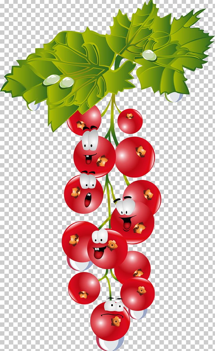 Gooseberry Cranberry Drawing PNG, Clipart, Branch, Cherry, Currant, Decoupage, Food Free PNG Download