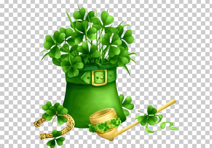 Saint Patrick's Day Desktop Irish People PNG, Clipart, Alternative Medicine, Blog, Desktop Wallpaper, Flowering Plant, Flowerpot Free PNG Download
