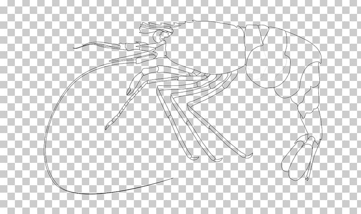 Drawing Monochrome Line Art /m/02csf Sketch PNG, Clipart, Animals, Arm, Artwork, Black And White, Cartoon Free PNG Download