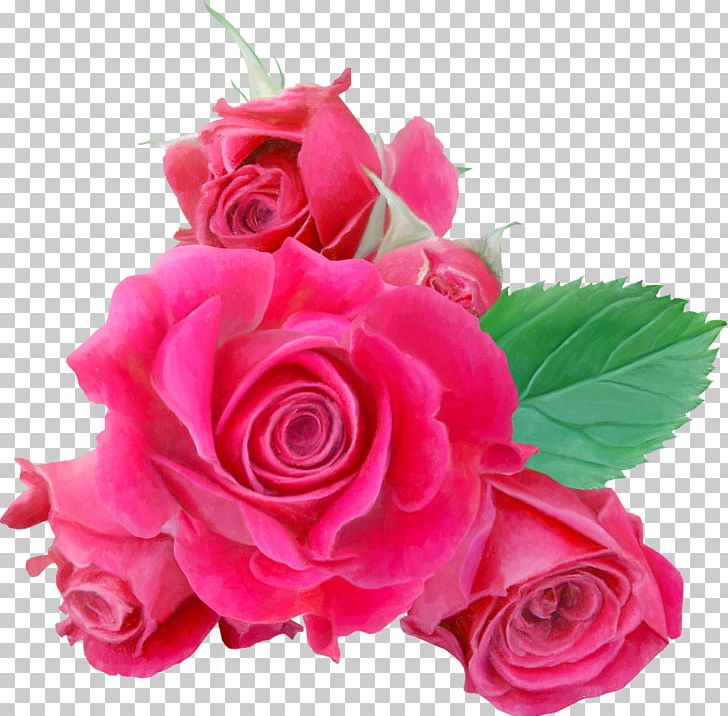 Garden Roses Cut Flowers Floral Design PNG, Clipart, Artificial Flower, Born To Die, Comics, Cut Flowers, Flo Free PNG Download