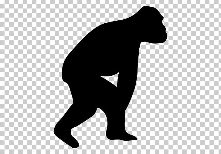 Gorilla Neandertal Human Evolution Chimpanzee Homo Sapiens PNG, Clipart, Animals, Ape, Arm, Black, Black And White Free PNG Download