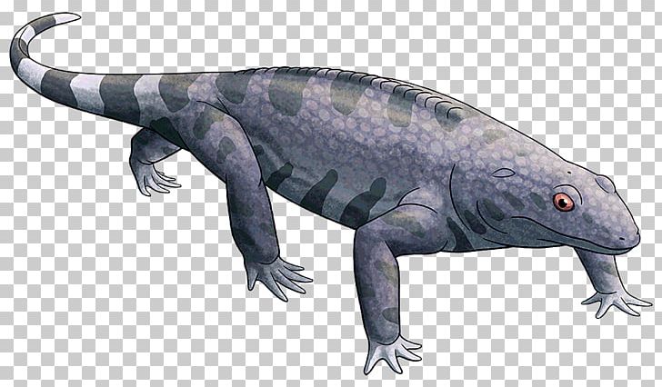Salamander Reptile Lizard Animal Fauna PNG, Clipart, Amphibian, Animal, Animal Figure, Animals, Fauna Free PNG Download